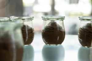 Mehrere kleine Einmachgläser, die mit einer braunen Schokoladencreme gefüllt sind, stehen nebeneinander in einer gläsernen Vitrine.