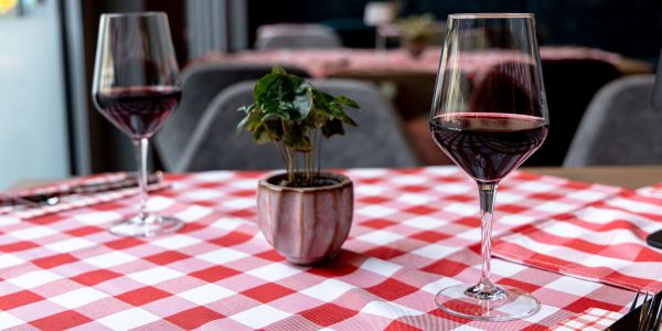 Zwei Gläser Rotwein auf einer rot-weiß karierten Tischdecke. Dazwischen steht eine kleine grüne Pflanze in einem Keramiktopf.